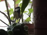 DSCF6069.webp