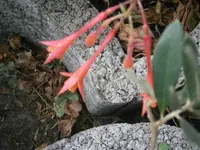 PB280891.webp