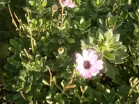 PB280895.webp