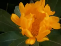 PB280913.webp