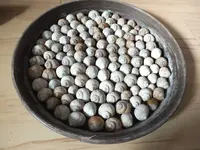 DSCF6125.webp