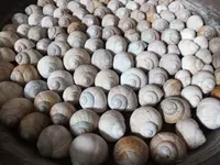 DSCF6126.webp