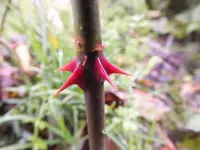 DSCF6095.webp
