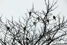 DSCF4730 (2).webp