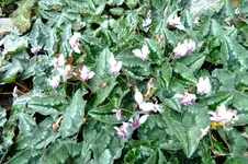 DSCF3120.webp
