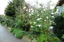 DSCF3122.webp
