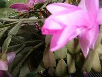 PB290925.webp
