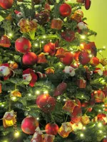 IMG_3793.webp