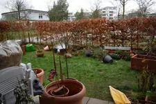DSC_0019.2.webp