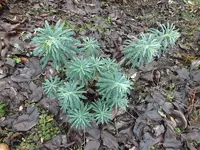 DSCF6088.webp