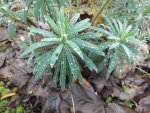DSCF6090.JPG