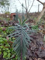 DSCF6117.webp