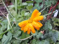 DSCF6078.webp