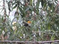 DSCF6136.webp