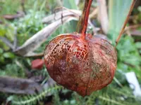 DSCF6080.webp