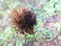 DSCF6105.webp