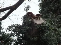 DSCF6123.webp