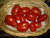 20150829_222118.webp
