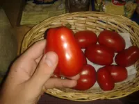 20150829_222152.webp