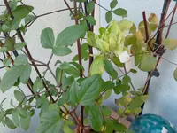 IMG_20151203_140014.webp