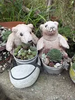 DSCF6169.webp