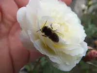 DSCF6177.webp
