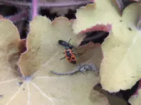 DSCF6228.webp