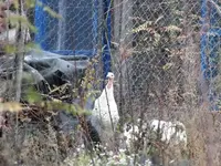 DSCF6268.webp