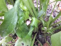 DSCF6201.webp