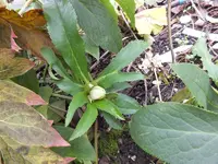 DSCF6202.webp