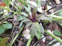 DSCF6214.webp