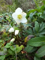 DSCF6213.webp