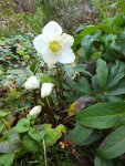 DSCF6213.JPG