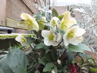 DSCF6218.webp