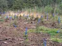 DSCN9753.webp