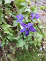 DSCF6199.webp