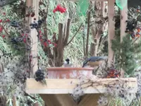 DSCF6348.webp