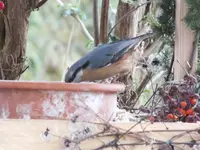 DSCF6354.webp