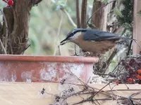 DSCF6353.webp