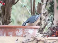 DSCF6356.webp