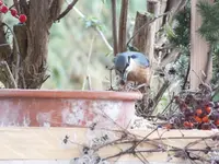 DSCF6358.webp