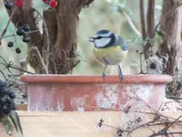 DSCF6350.webp