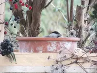 DSCF6352.webp