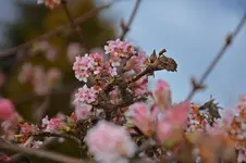 DSC_6147.webp