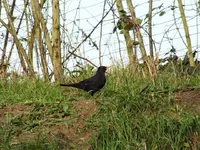 DSCF6411.webp
