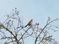 DSCF6378.webp