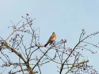 DSCF6380.webp