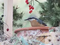 DSCF6412.webp