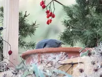 DSCF6413.webp