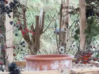 DSCF6415.webp